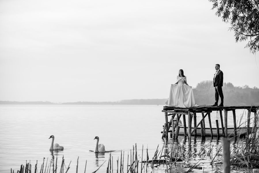 Photographe de mariage Vladimir Milojkovic (mvladimir). Photo du 18 novembre 2019