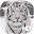 White Tiger Wallpaper HD Download on Windows