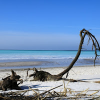 Le spiagge bianche di 