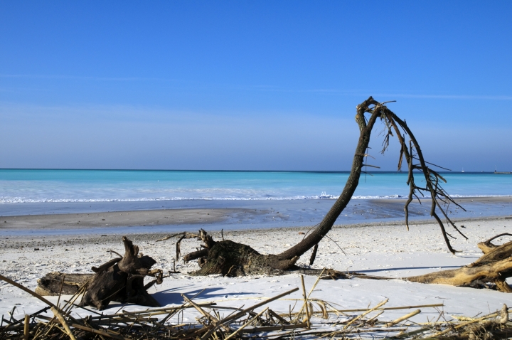 Le spiagge bianche di Luca G.