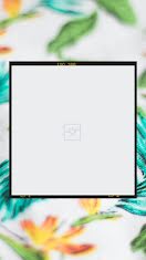 Blank Floral Frame 02 - Facebook Story item