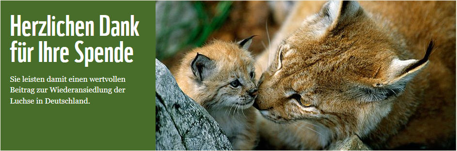 image of a lynx mother and cub with a banner displaying a thank-you note for a donation in German