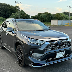 RAV4 AXAH54