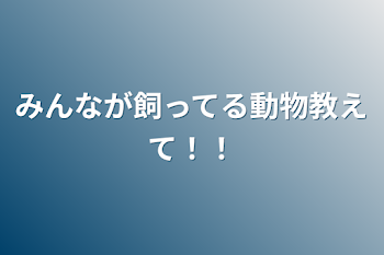 みんなが飼ってる動物教えて！！