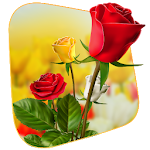 Cover Image of Tải xuống 360 Flower live wallpaper 3D 1.0.3 APK