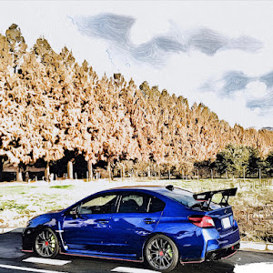 WRX STI VAB