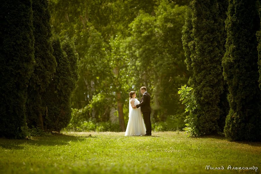 Wedding photographer Aleksandr Milay (sanpenza). Photo of 12 June 2014