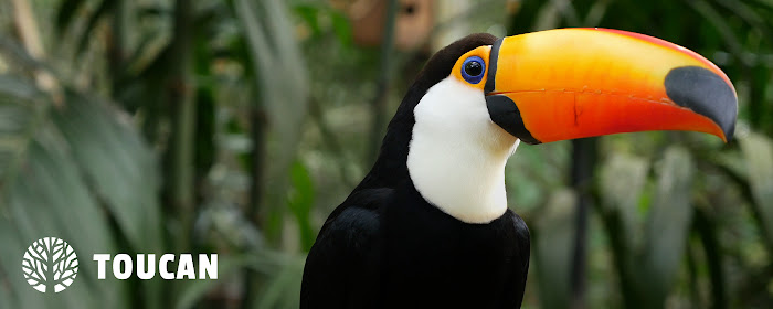 Toucan HD Wallpapers New Tab Theme marquee promo image