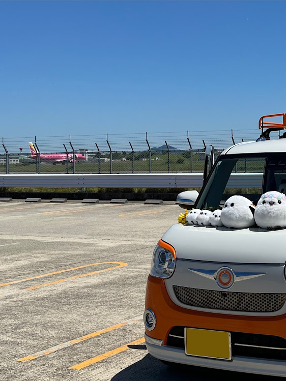 ムーヴキャンバスの青空の下で…・梅雨入り前の最後の青空・パタパタウラちゃん🍊・シマエナガも日干し・あなたの推し撥水コートは？に関するカスタム事例の投稿画像4枚目