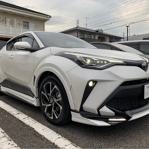 C-HR NGX10