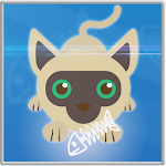 Cover Image of Download Hungry cats Beta 1.0.0 APK