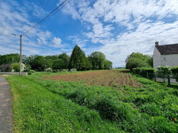 terrain à Girolles (45)