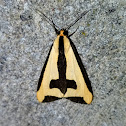 Clymene Moth