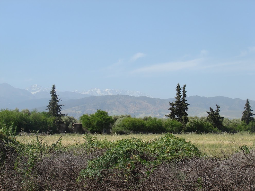 Marrakech