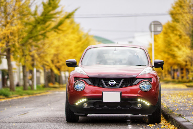 ジュークの新潟・ドライブ・紅葉・イチョウ並木・秋は短いに関するカスタム事例の投稿画像3枚目