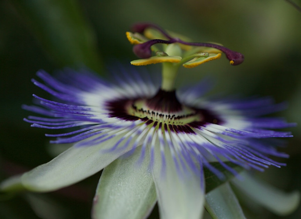 colourfull shadow di bmicrea