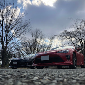 BRZ ZC6