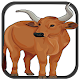 Cattle breeds Download on Windows