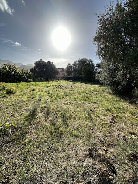 Vente terrain à batir  730 m² à Saint-Florent (20217), 450 000 €