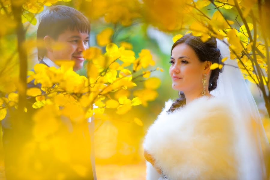 Wedding photographer Dmitriy Andreev (da-ru). Photo of 12 January 2014