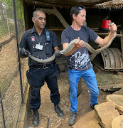 Snake catcher Jason Arnold and reaction officer Kevin Valoo with a 2m black mamba that was removed from a chicken coop in KZN on Thursday.