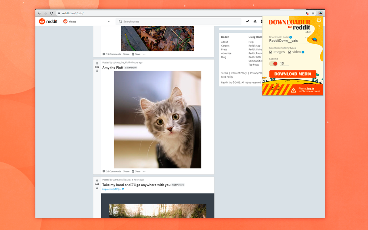 Downloader for Reddit™ Preview image 4