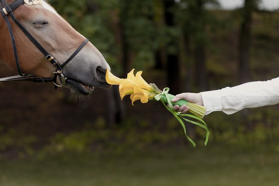 Wedding photographer Olga Ivanova (skipka). Photo of 9 September 2014