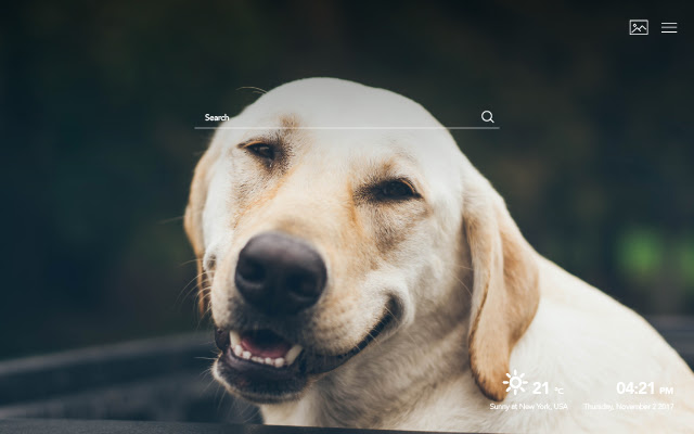 Laughter Wallpapers New Tab