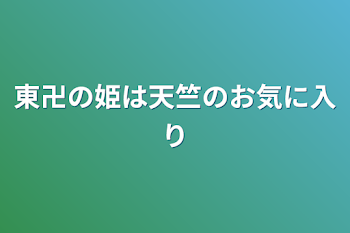 東卍の姫は天竺のお気に入り