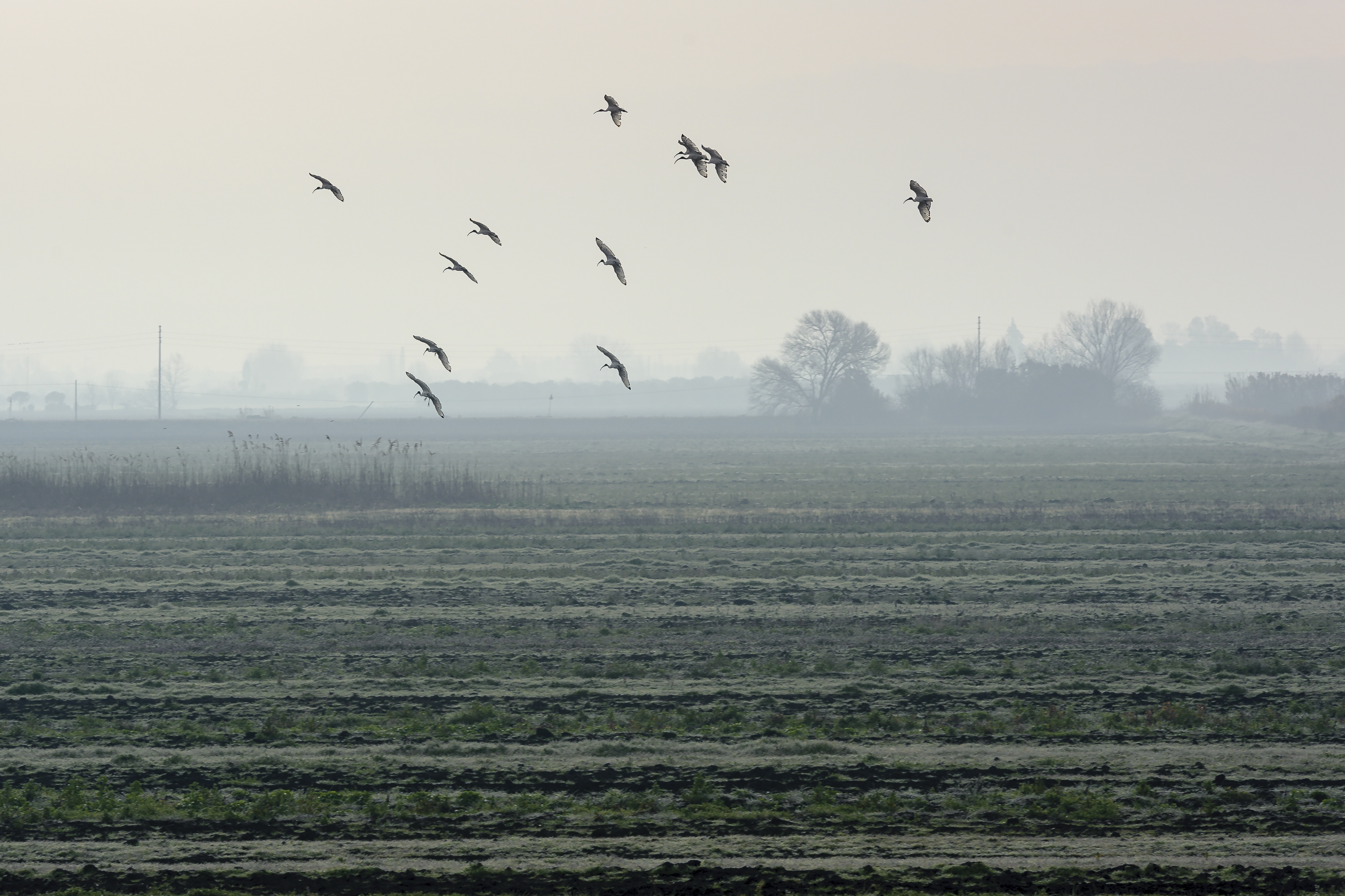 In volo sulla pianura di gabrielecollini