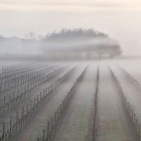 campagna al mattino di 