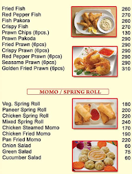 Chineese Quisine Restaurant menu 8