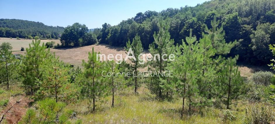 Vente terrain  1640 m² à Trélissac (24750), 75 000 €