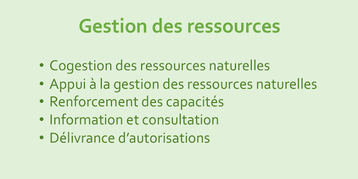 Gestion des ressources