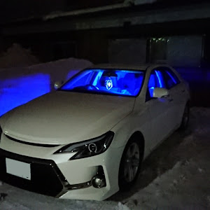 マークX GRX130系