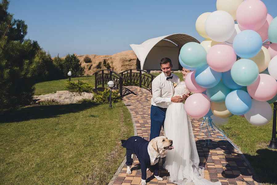 Fotografo di matrimoni Dima Hamaniuk (dgphoto). Foto del 16 dicembre 2015