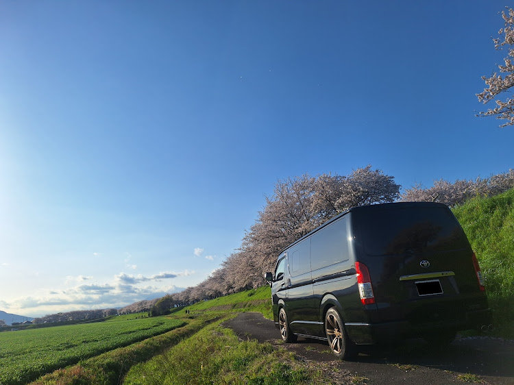 レジアスエースバンのサクラと愛車・ハイエーサーと繋がりたい・桜とコラボ・ドライブに関するカスタム事例の投稿画像1枚目