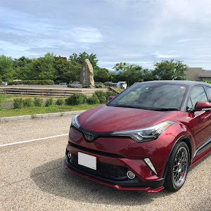 C-HR ZYX10
