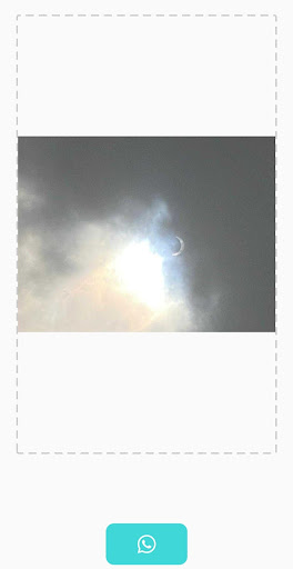 No Crop - Full Size DP Without Crop