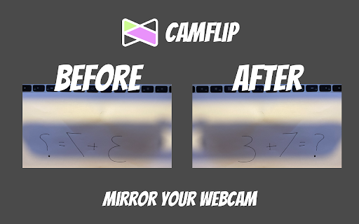 CamFlip