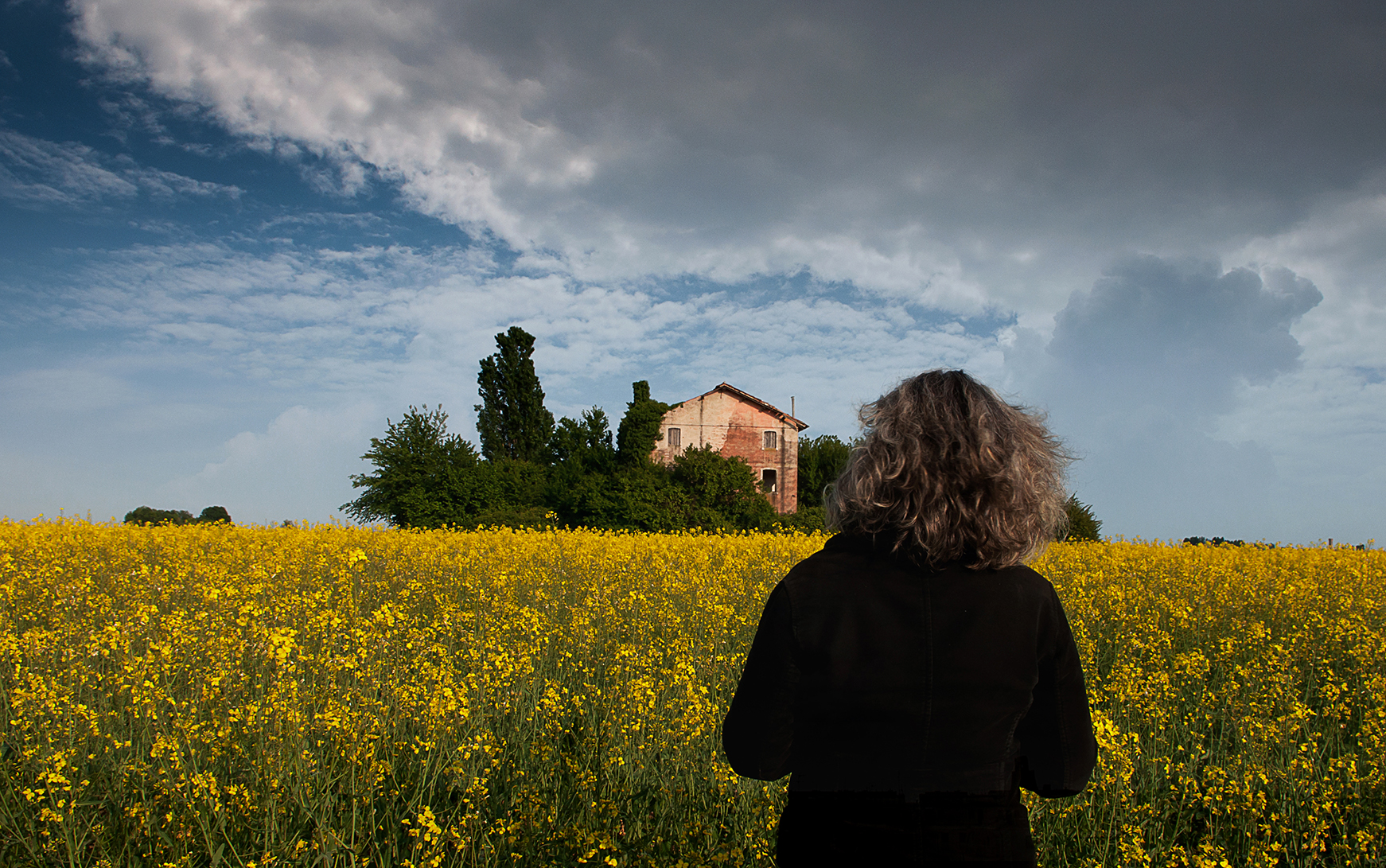 Un' oasi tra la colza di Giovi18