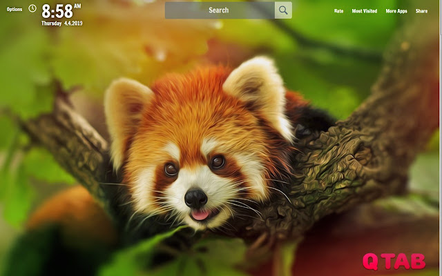 Red Panda New Tab Red Panda Wallpapers