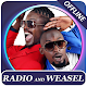 Radio and Weasel songs offline Download on Windows