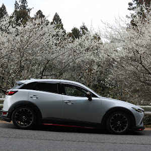 CX-3 DK5FW