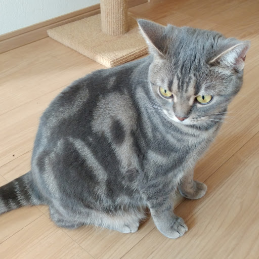のみすけのプロフィール画像