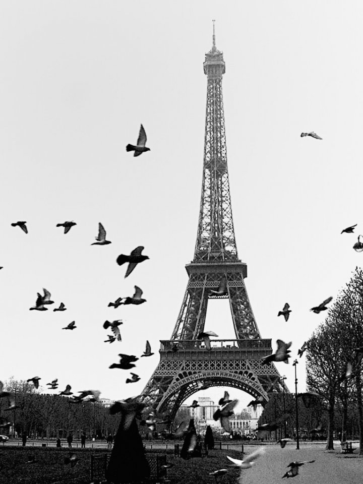 In volo su Parigi di Salvatore Gulino