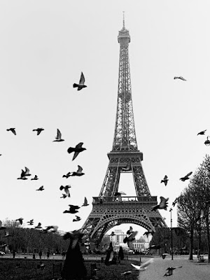 In volo su Parigi di Salvatore Gulino