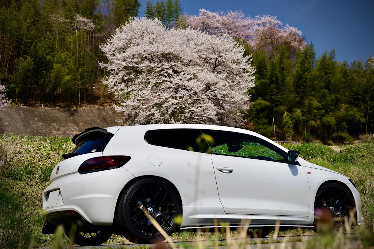メガーヌ ハッチバックのサクラと愛車・南信州の桜🌸・今年初のコラボに関するカスタム事例の投稿画像4枚目