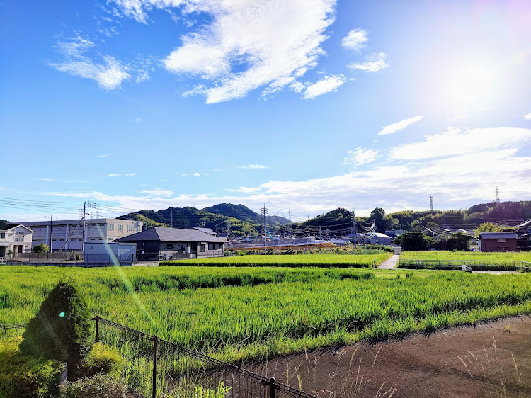 エルグランドの山口県・雨上がりのDaytime☀・くだまつ食堂・ラストメシ🍚・あの人からの手紙‥‥💌に関するカスタム事例の投稿画像9枚目