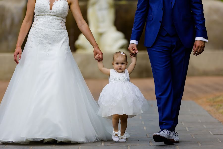 Wedding photographer Richard Wijnands (fotowijnands). Photo of 15 September 2019